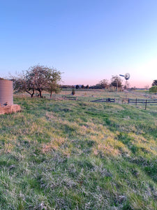 The Making of a Farm: From Outside In